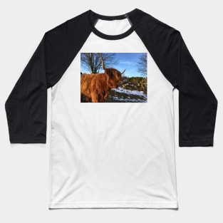 Scottish Highland Cattle Cow 2252 Baseball T-Shirt